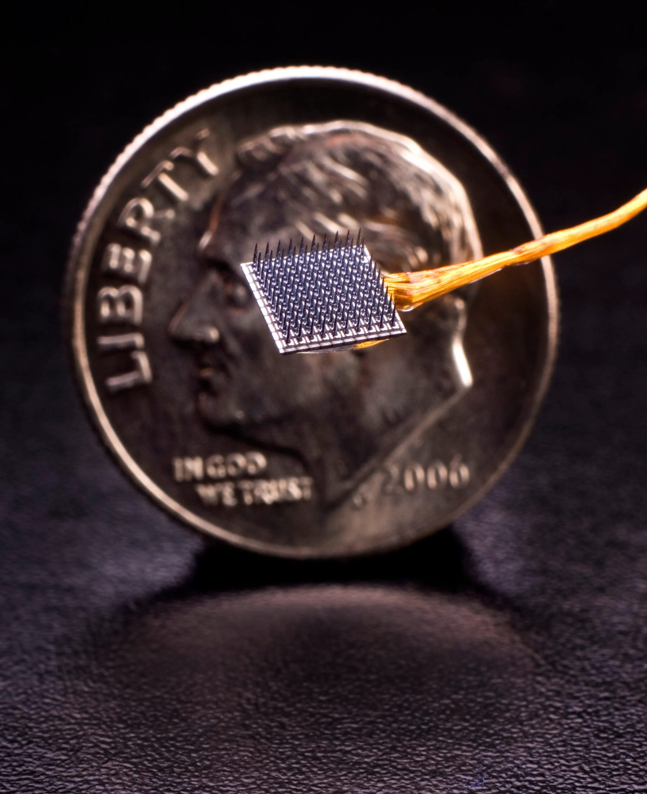 Unquiet minds — Harvard Gazette