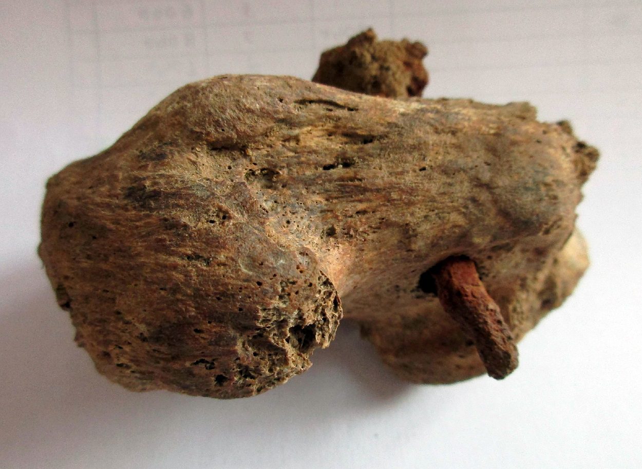 Physical evidence of a crucifixion from Roman period found in UK