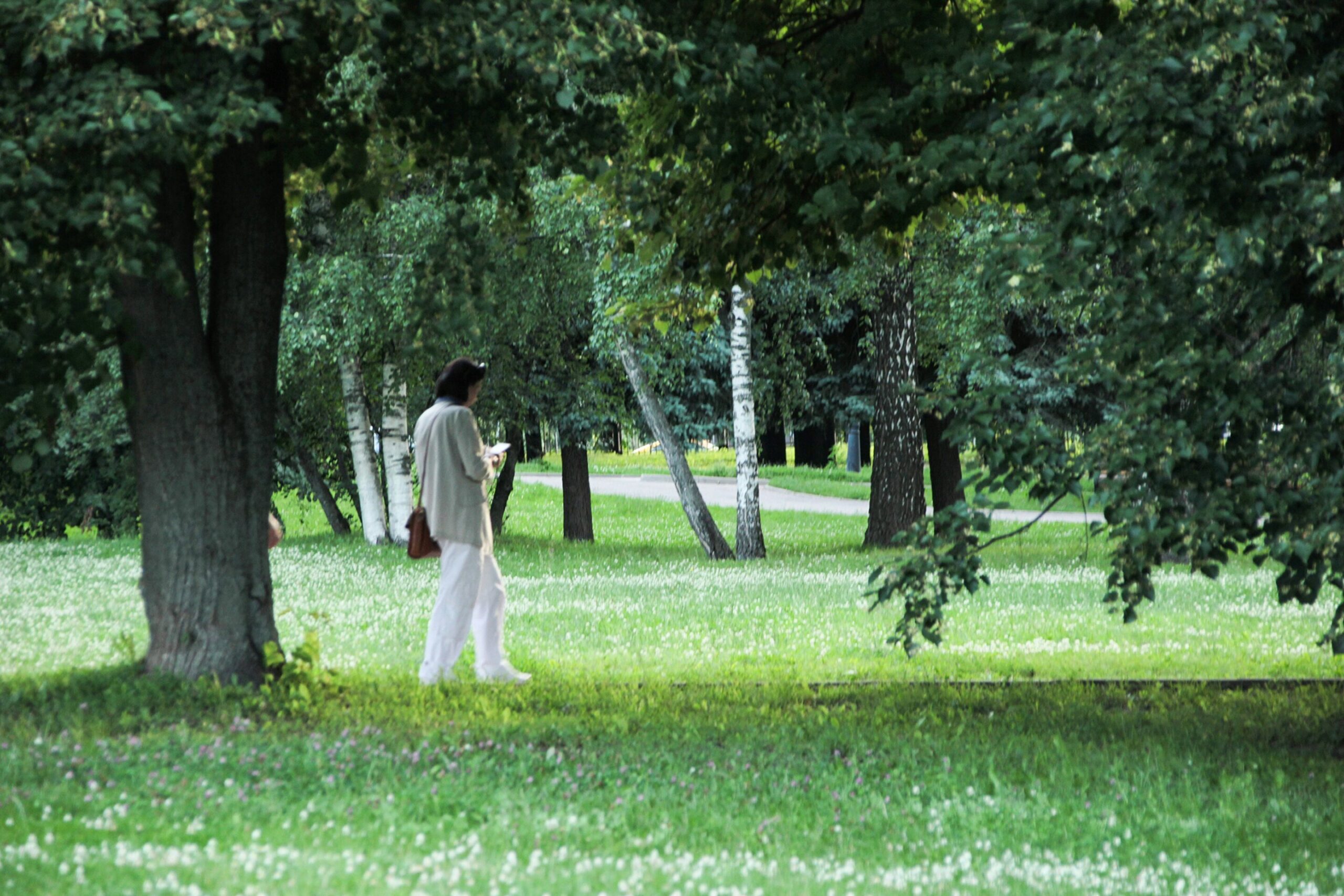 Perceiving nature in daily life and exercise linked to better mental health