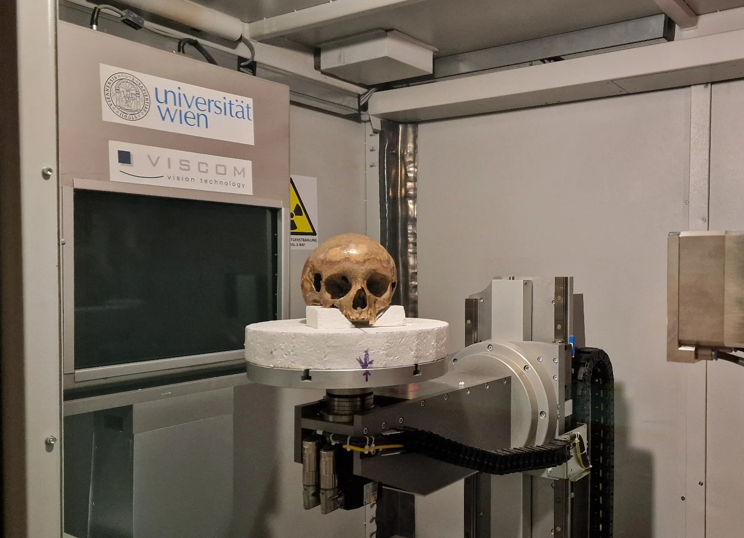 Scientific investigation determines whether skull is Cleopatra’s sister