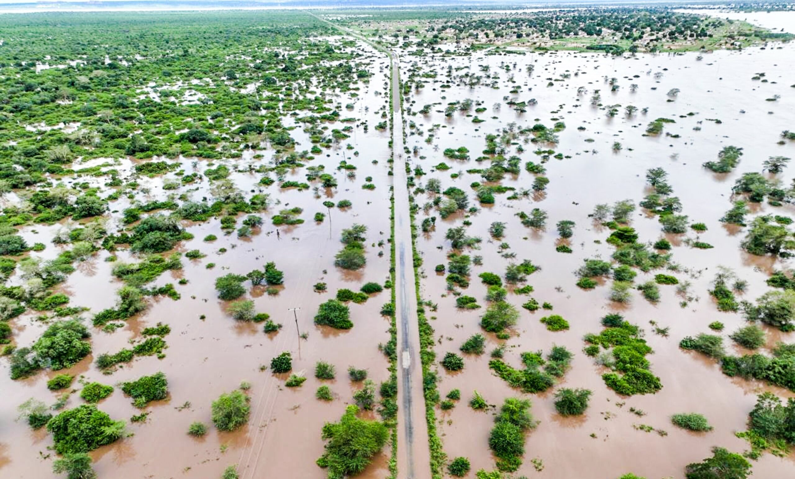 Climate change worsened rains and floods which killed dozens in southern Africa, study shows