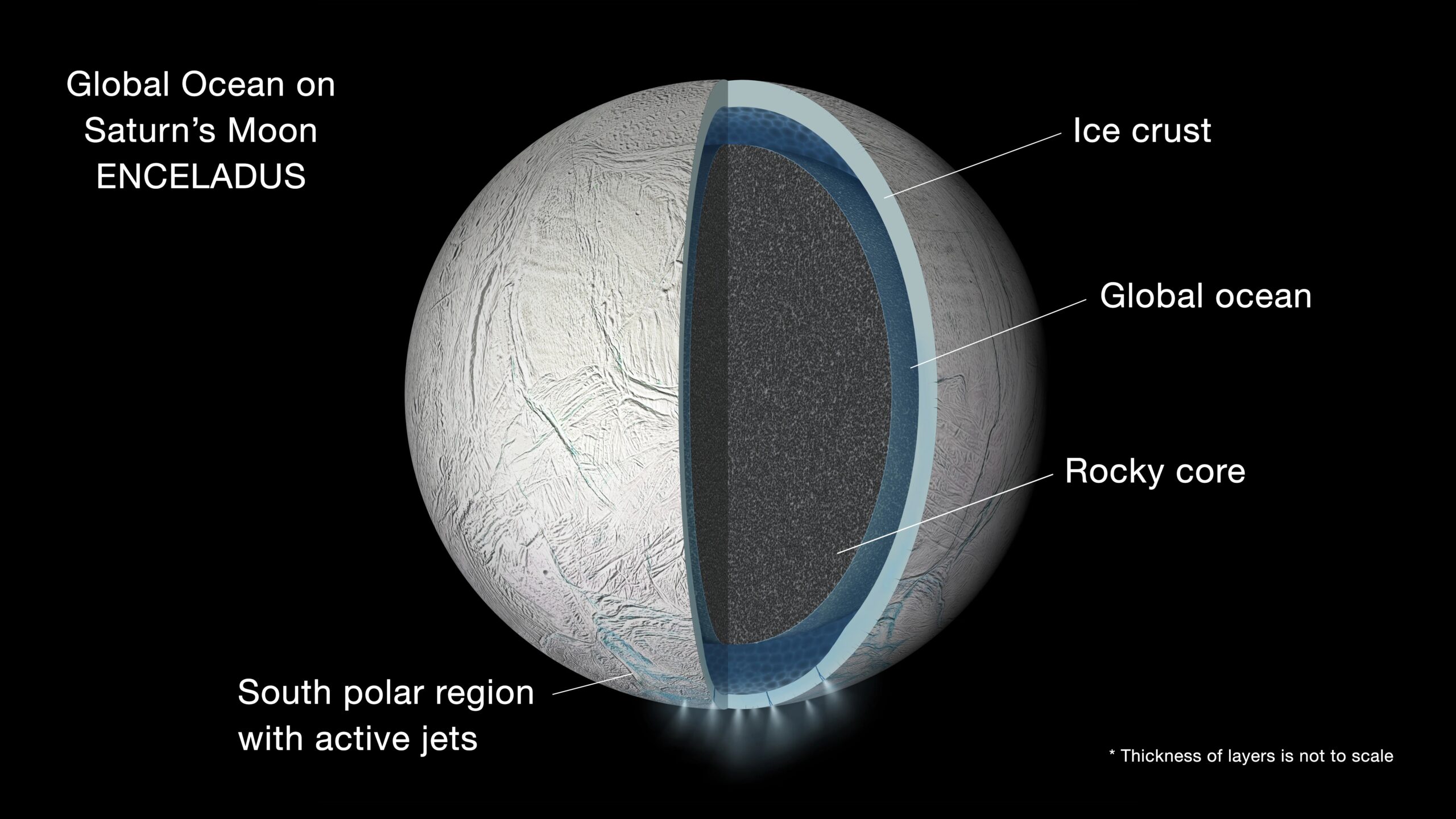 Fresh Ocean Spray From Enceladus Reveals Complex Organics