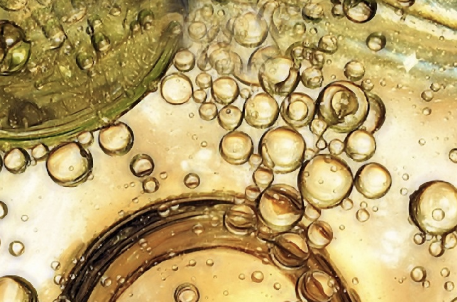 How Cells Defend Themselves From Radicals