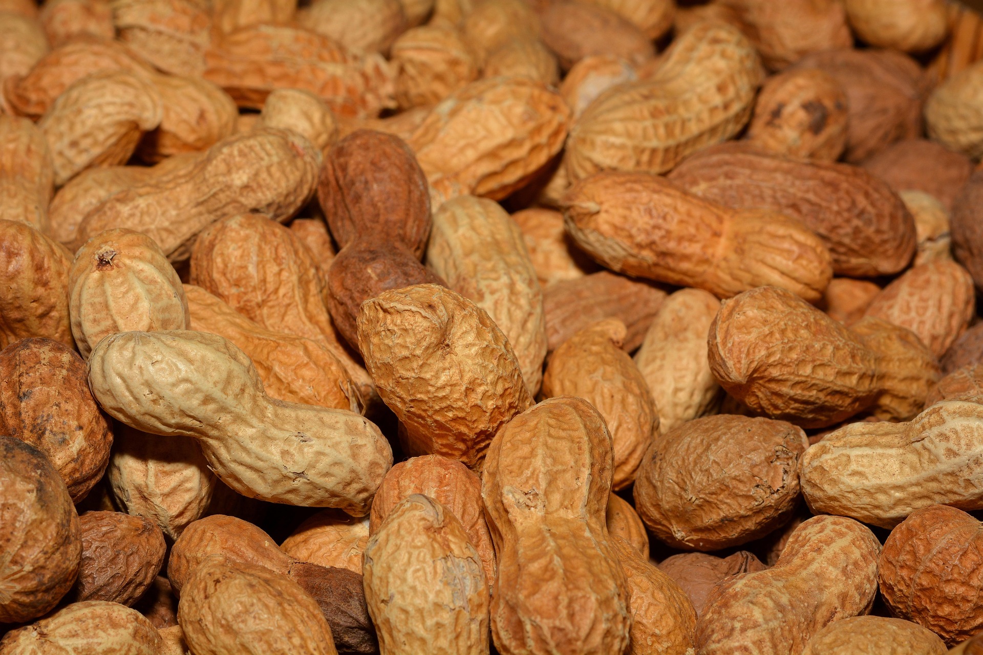 Peanut Exposure Therapy Improves Allergy Response in Children