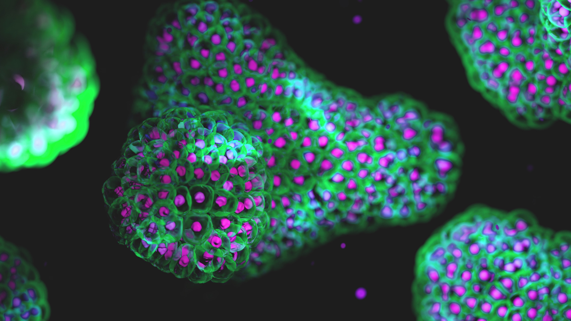 The Future of 3D Cell Analysis – From Isolation to Insight