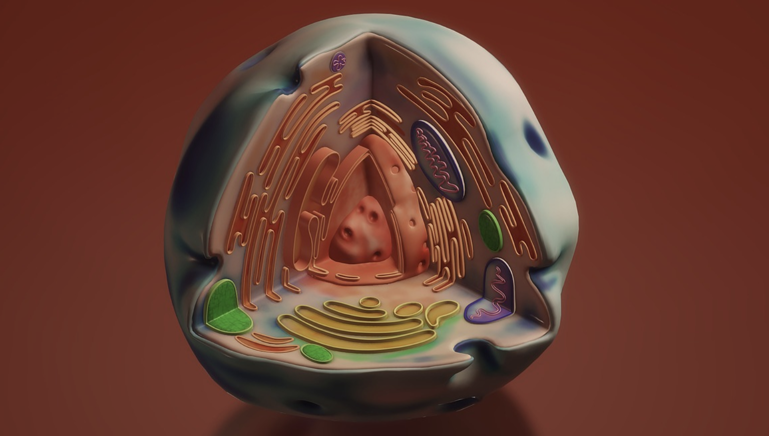 A Novel Type of Mitochondrial DNA Damage is ID’ed