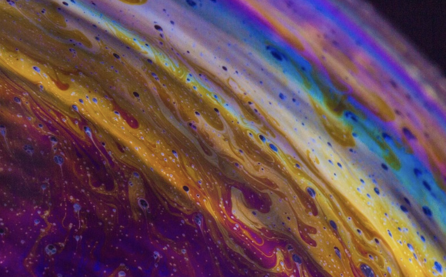 Getting by with Some Gut Microbes From Our Friends