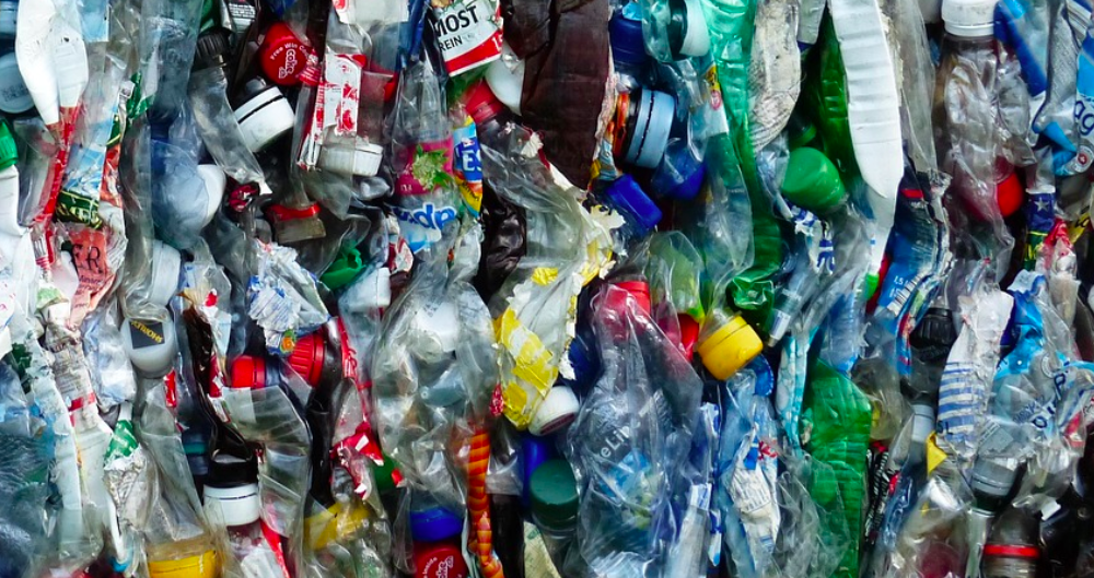 Paternal Microplastic Exposure Linked to Metabolic Disorders in Offspring