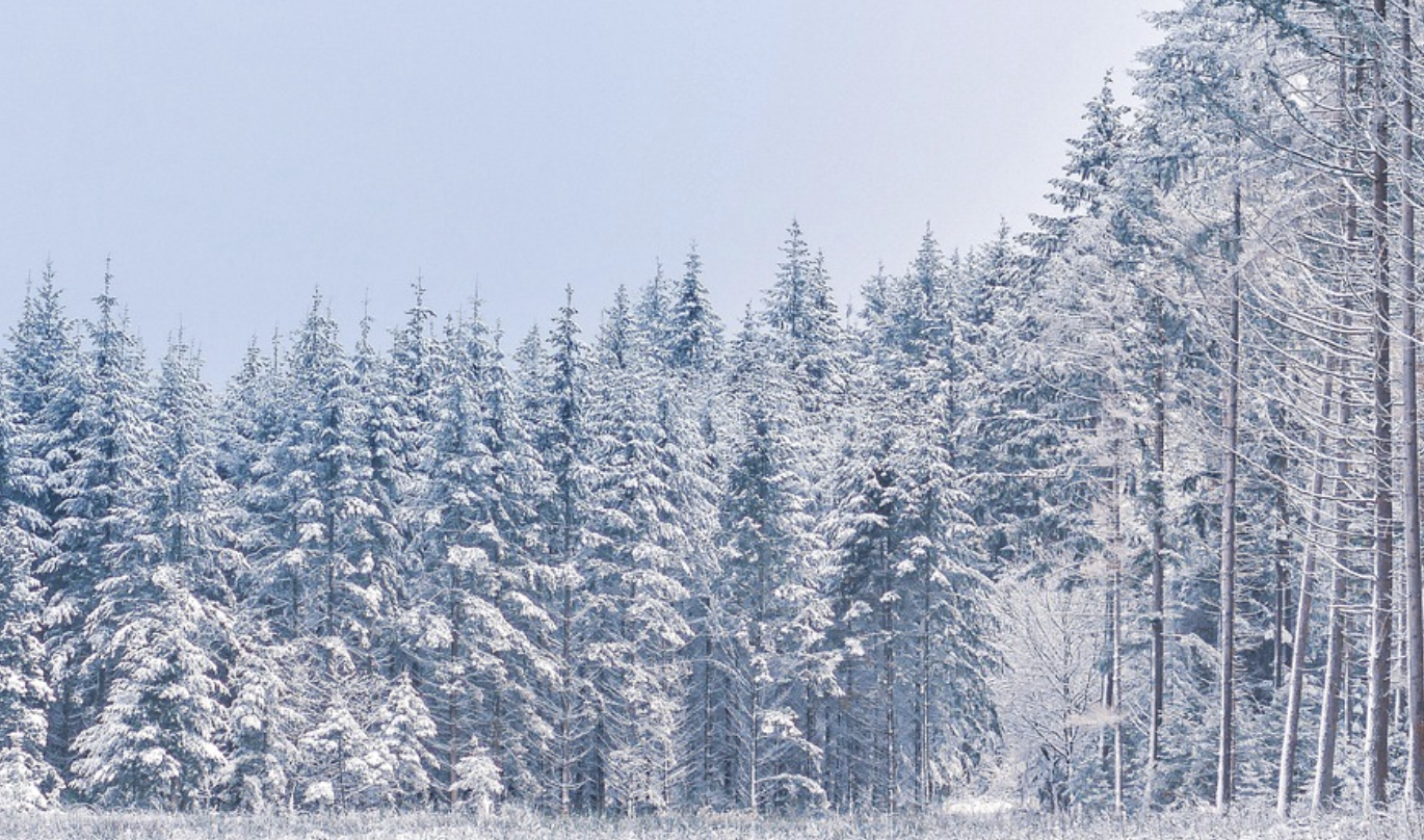 Is the Microbial Mystery of What Killed Napoleon I’s Army Solved?