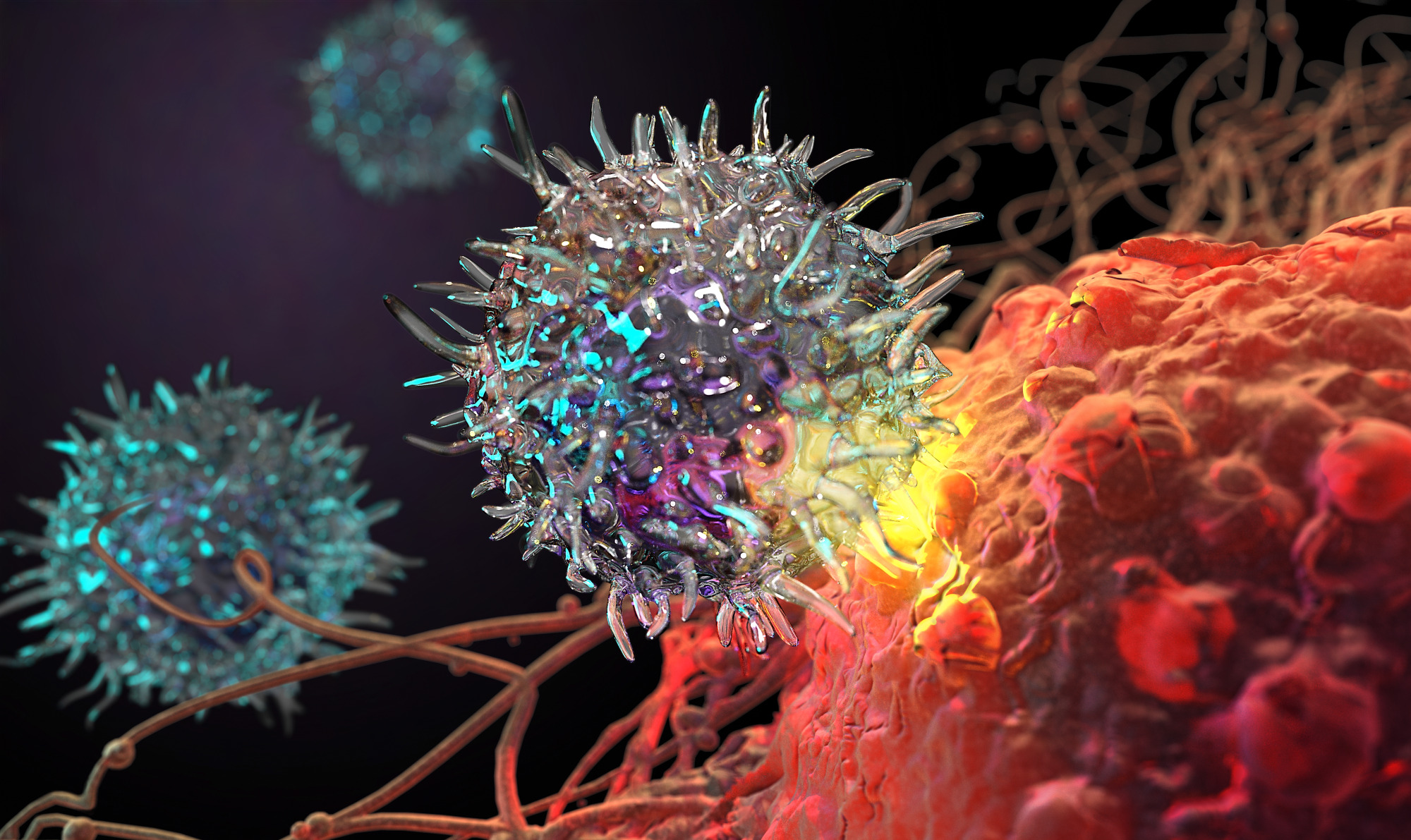 Advancing Personalized Cancer Therapies | Cancer