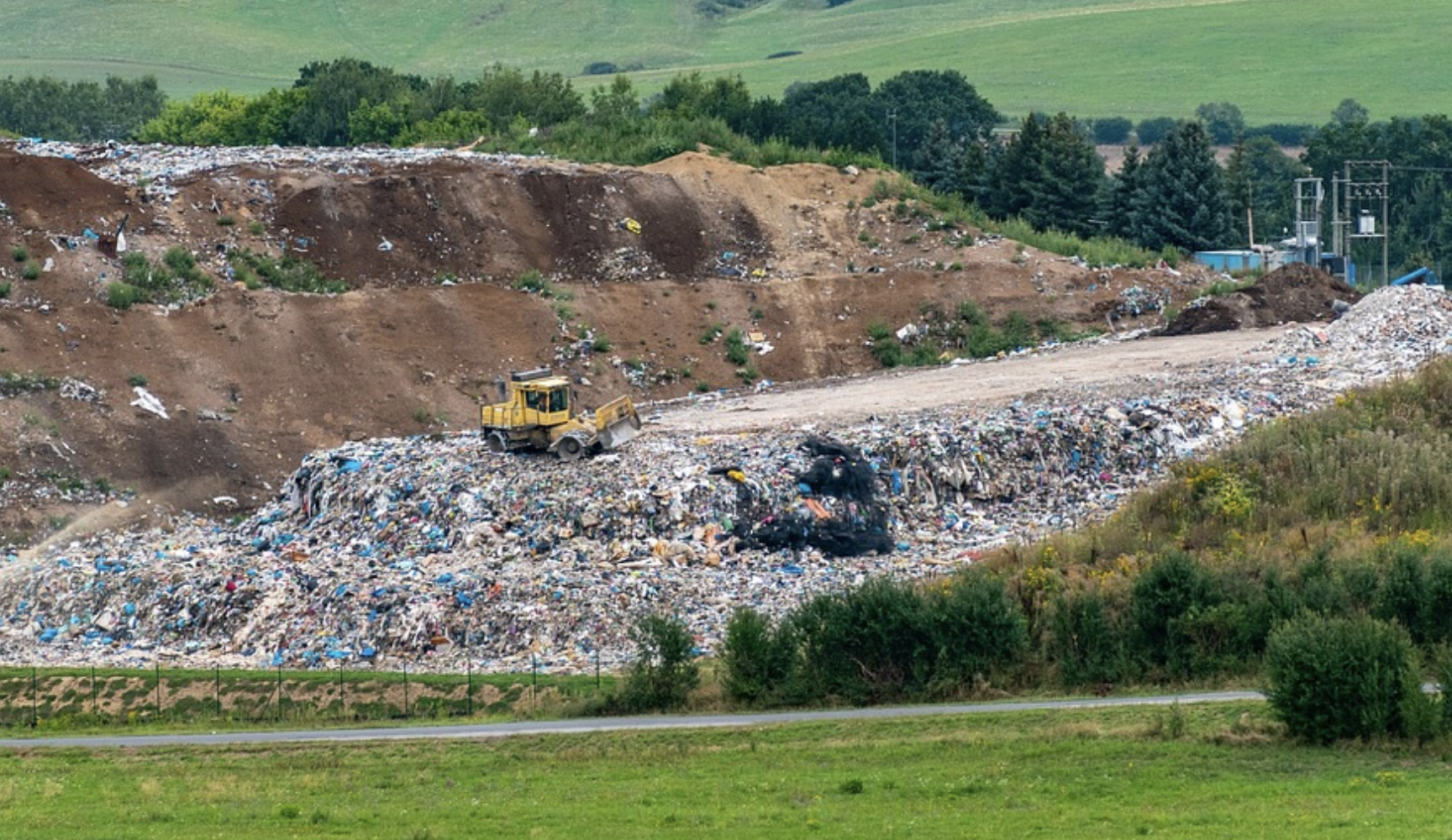 This Bacterium Converts Trash to Energy