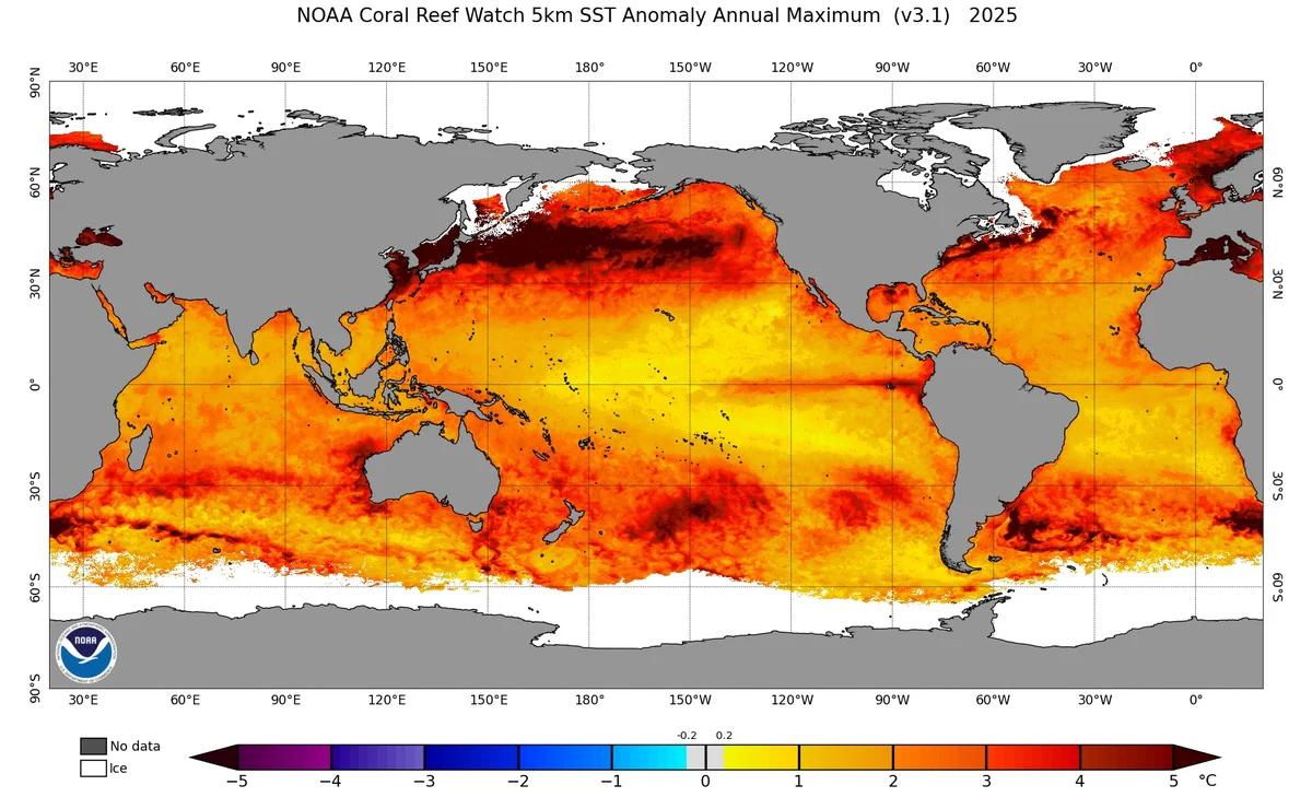 Ocean Temperatures Just Hit a Dire New Record