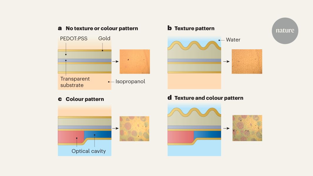 Artificial skin mimics the octopus’s art of disguise