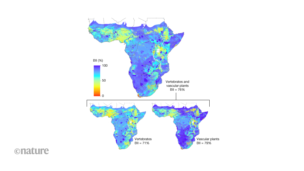 Sub-Saharan Africa has lost almost one-quarter of its pre-industrial biodiversity