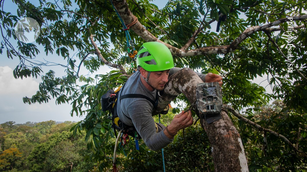 scientists ditch fieldwork in the age of AI