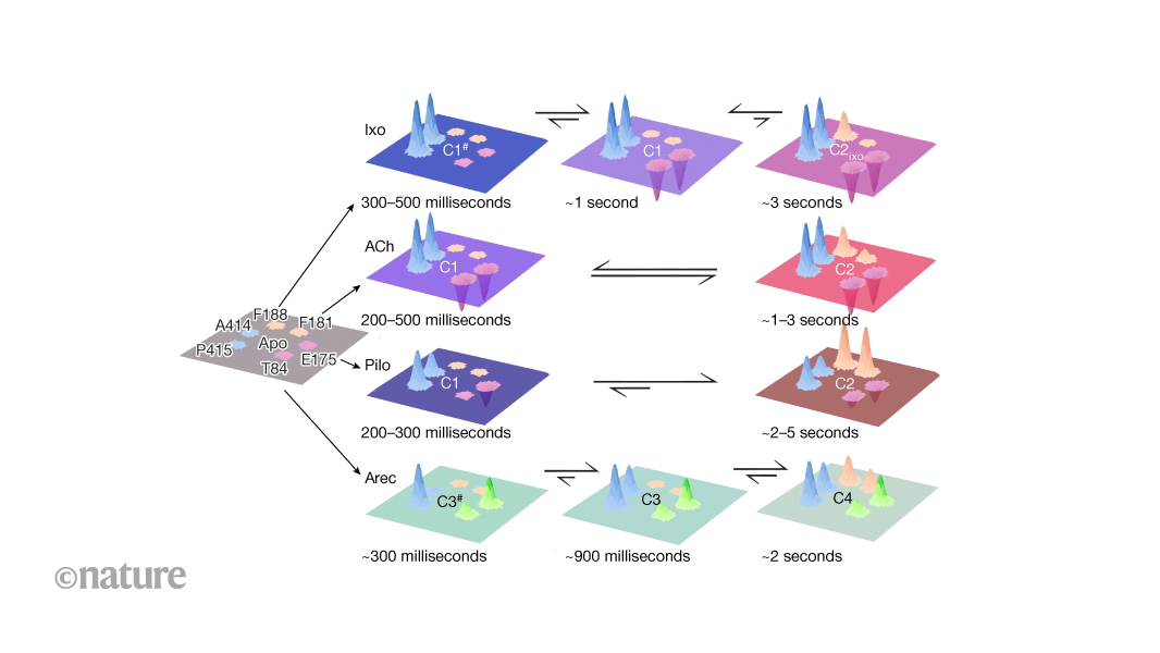 Biosensors characterize the routes taken by receptors to different active states