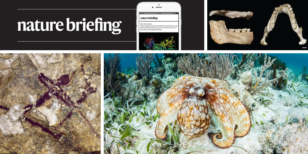 Octopus-inspired synthetic ‘skin’ changes appearance on demand