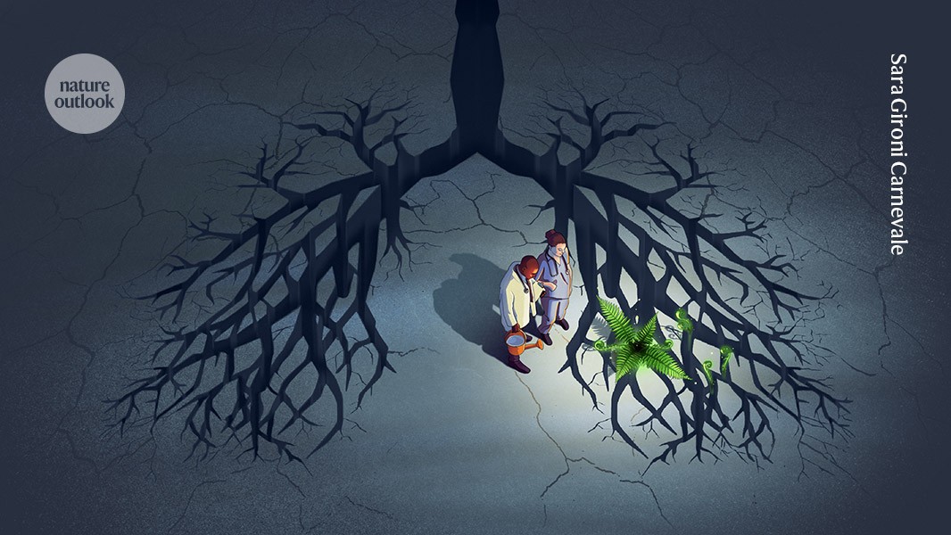 Could the regenerative power of the lungs help to reverse disease?