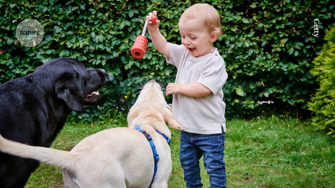 Gifted dogs learn new words by overhearing humans