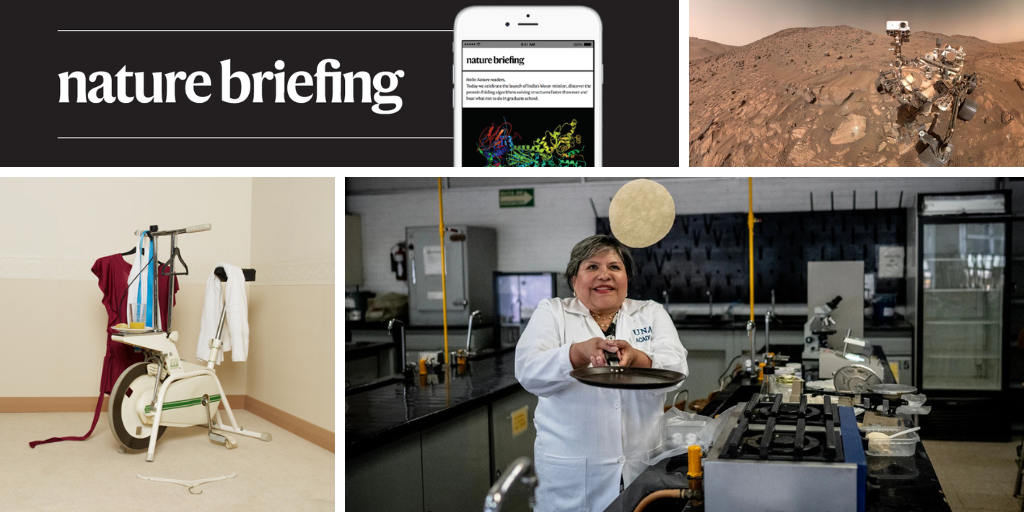 The neural circuit that can make it hard to start a difficult task