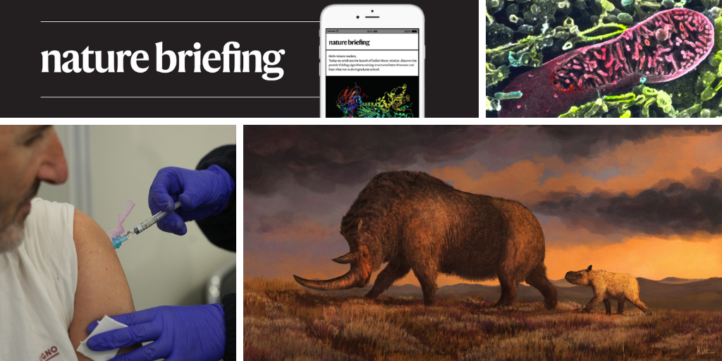 Cancer cells stay hidden using stolen mitochondria