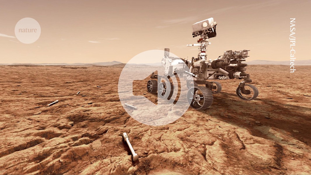 Briefing Chat: Can NASA return rocks from Mars? And why dogs have long ears