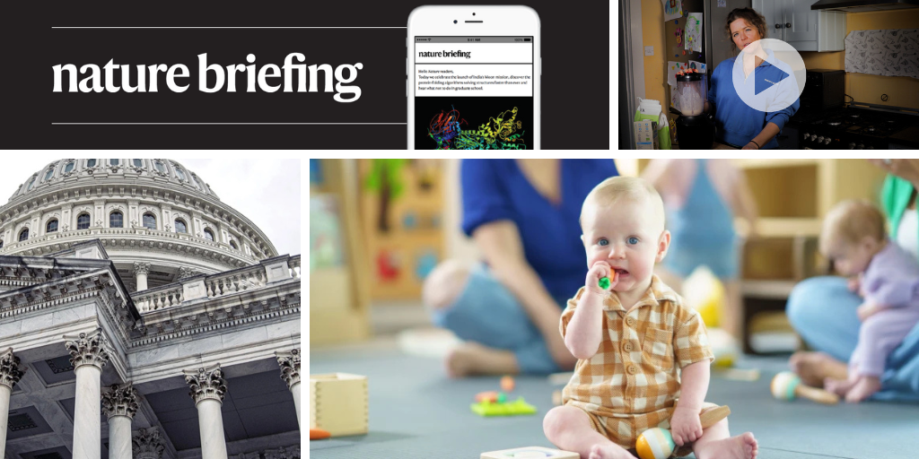 Trump — one year in