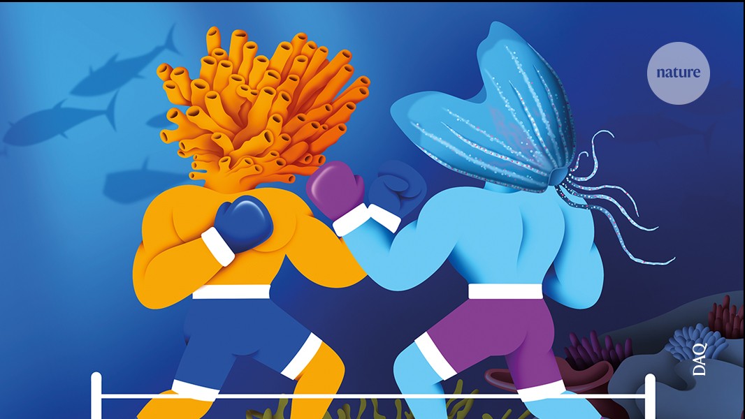 What were the first animals? The fierce sponge–jelly battle that just won’t end