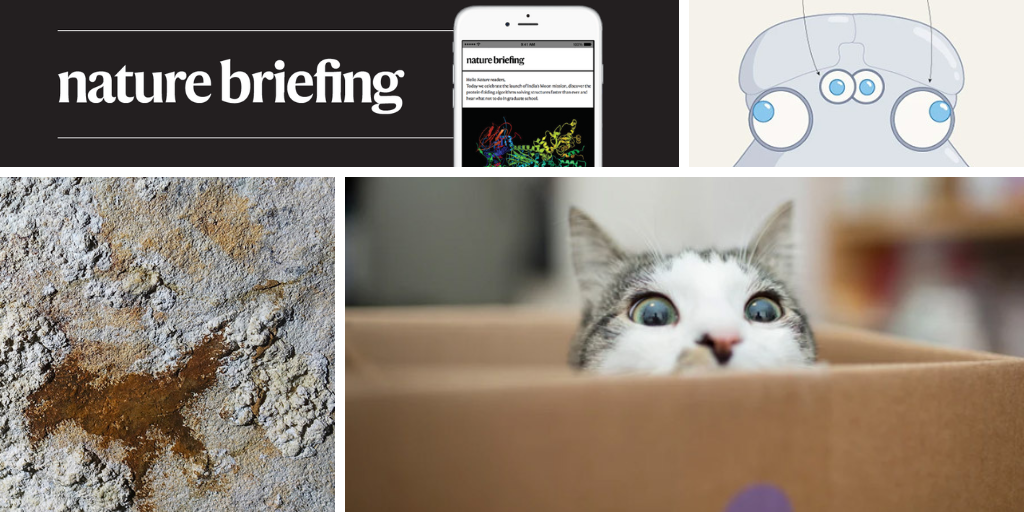 Largest ever ‘superposition’ pushes quantum boundary