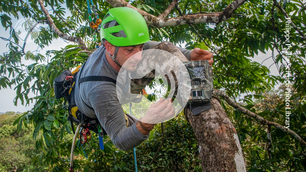 Audio long read: ‘I rarely get outside’ — scientists ditch fieldwork in the age of AI