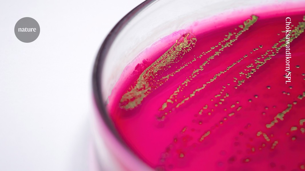 Light-powered bacteria become living chemical factories