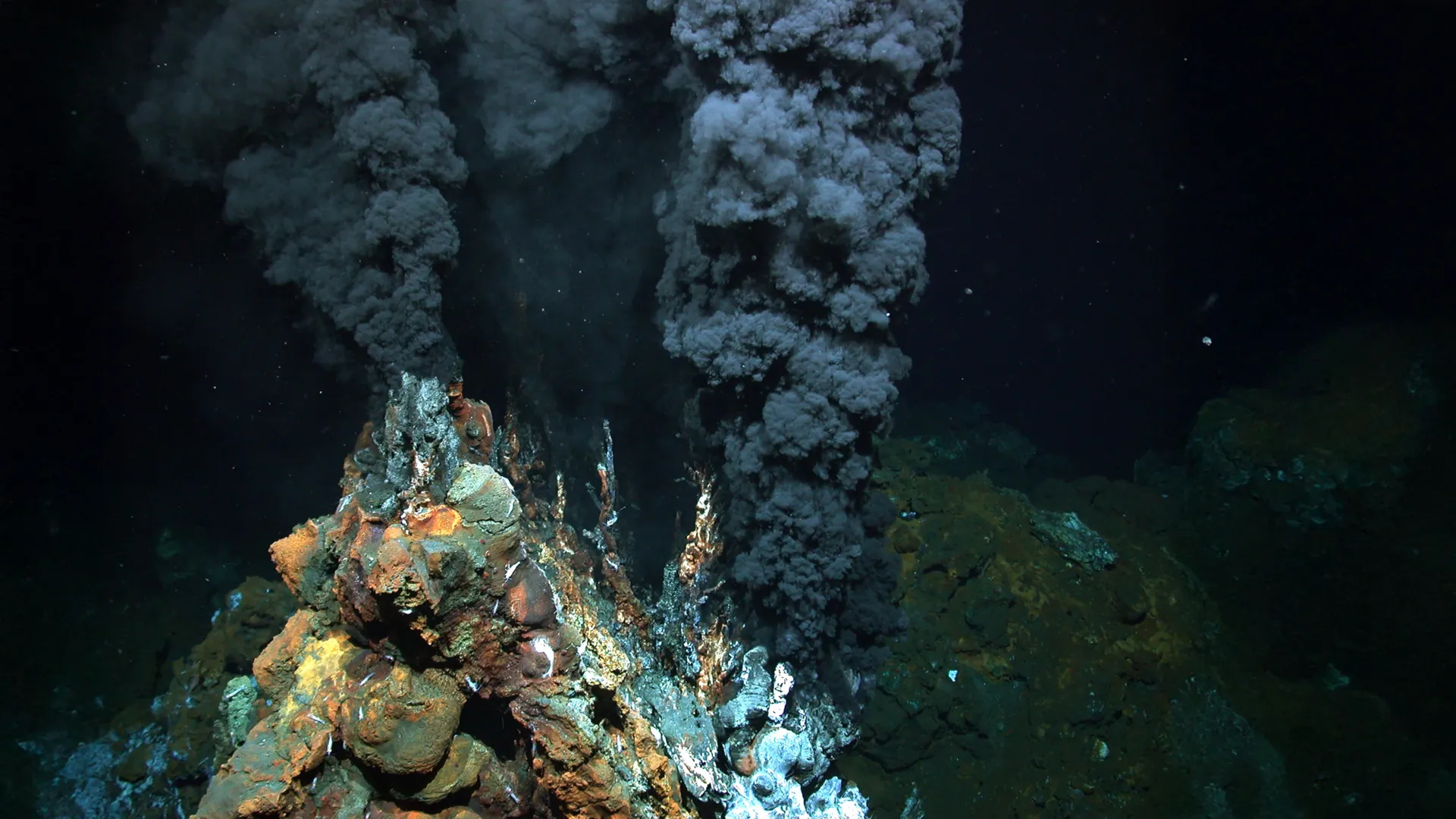 The invisible energy cost that keeps life from falling apart