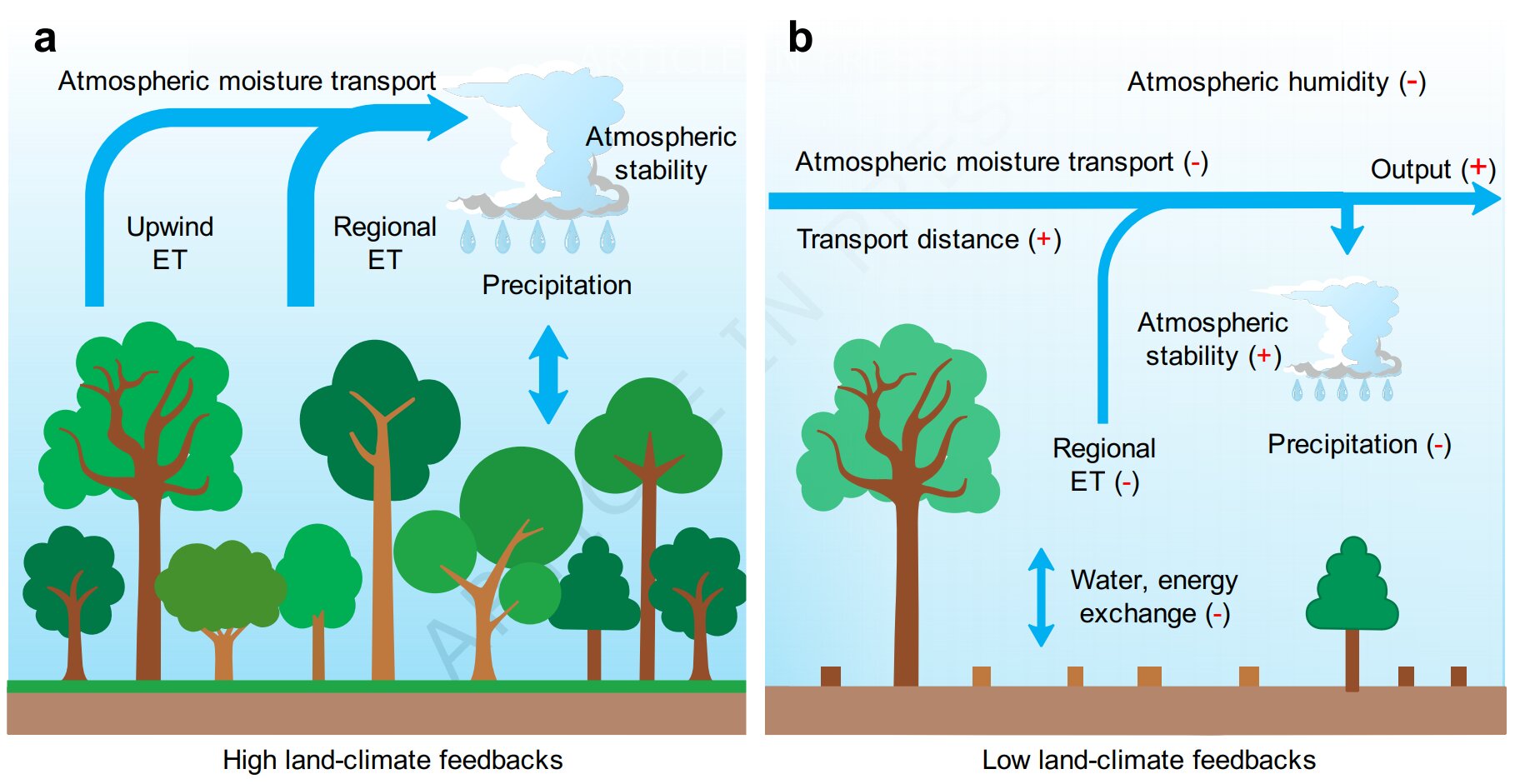 Deforestation is drying out the Amazon rainforest faster than previously thought