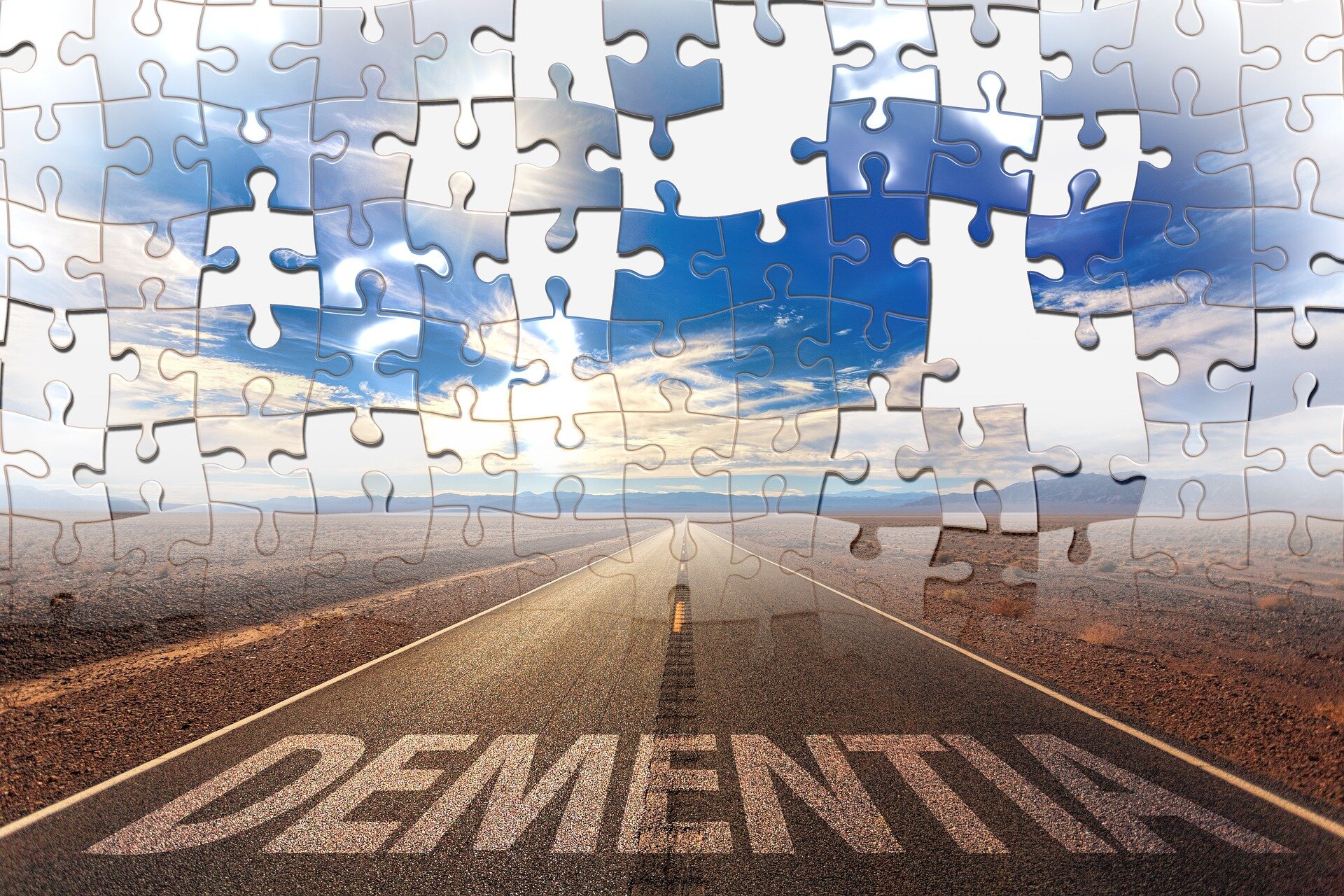 Experts provide policy roadmap to reduce dementia risk