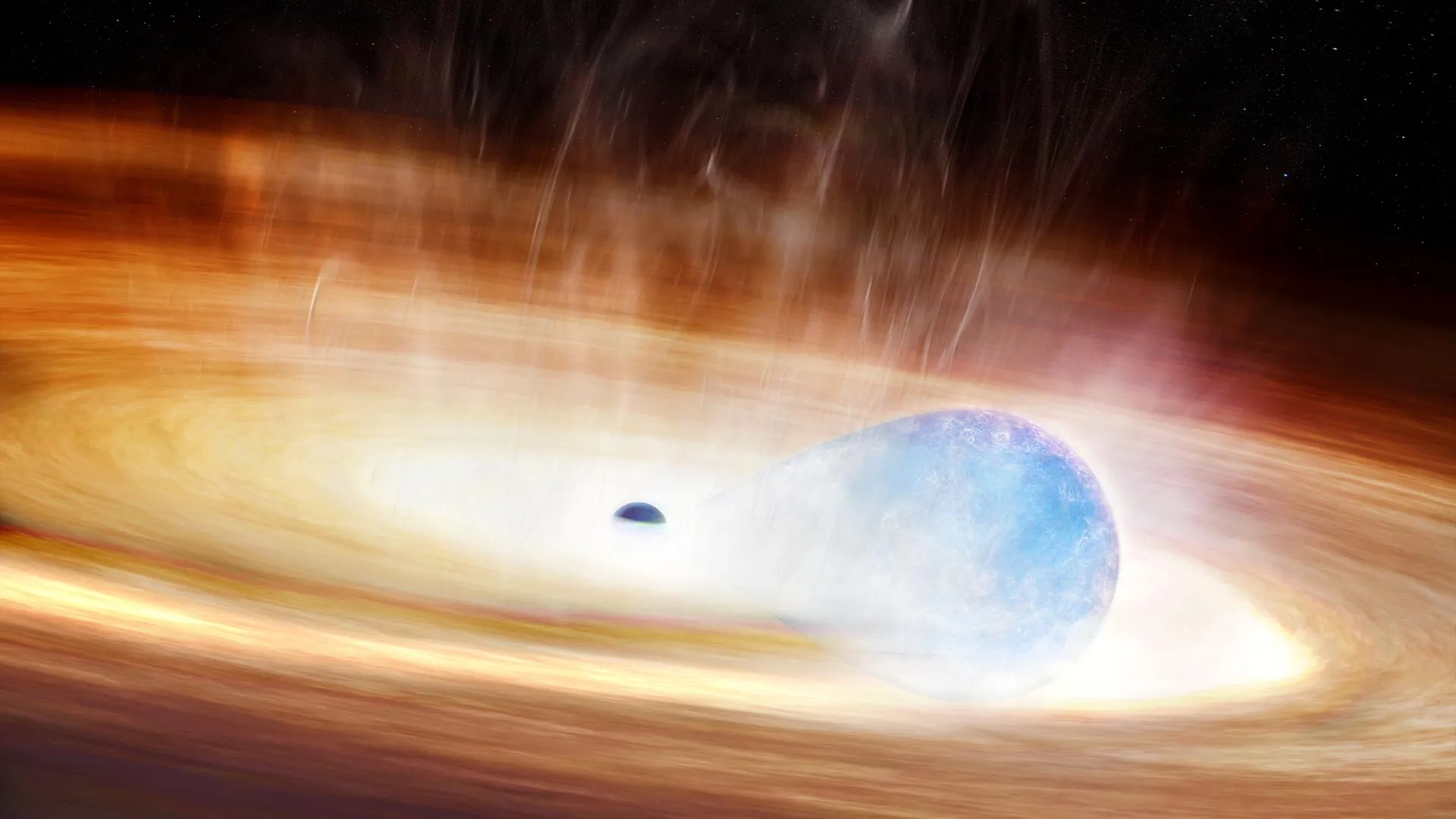 A star torn apart by a black hole lit up the Universe twice
