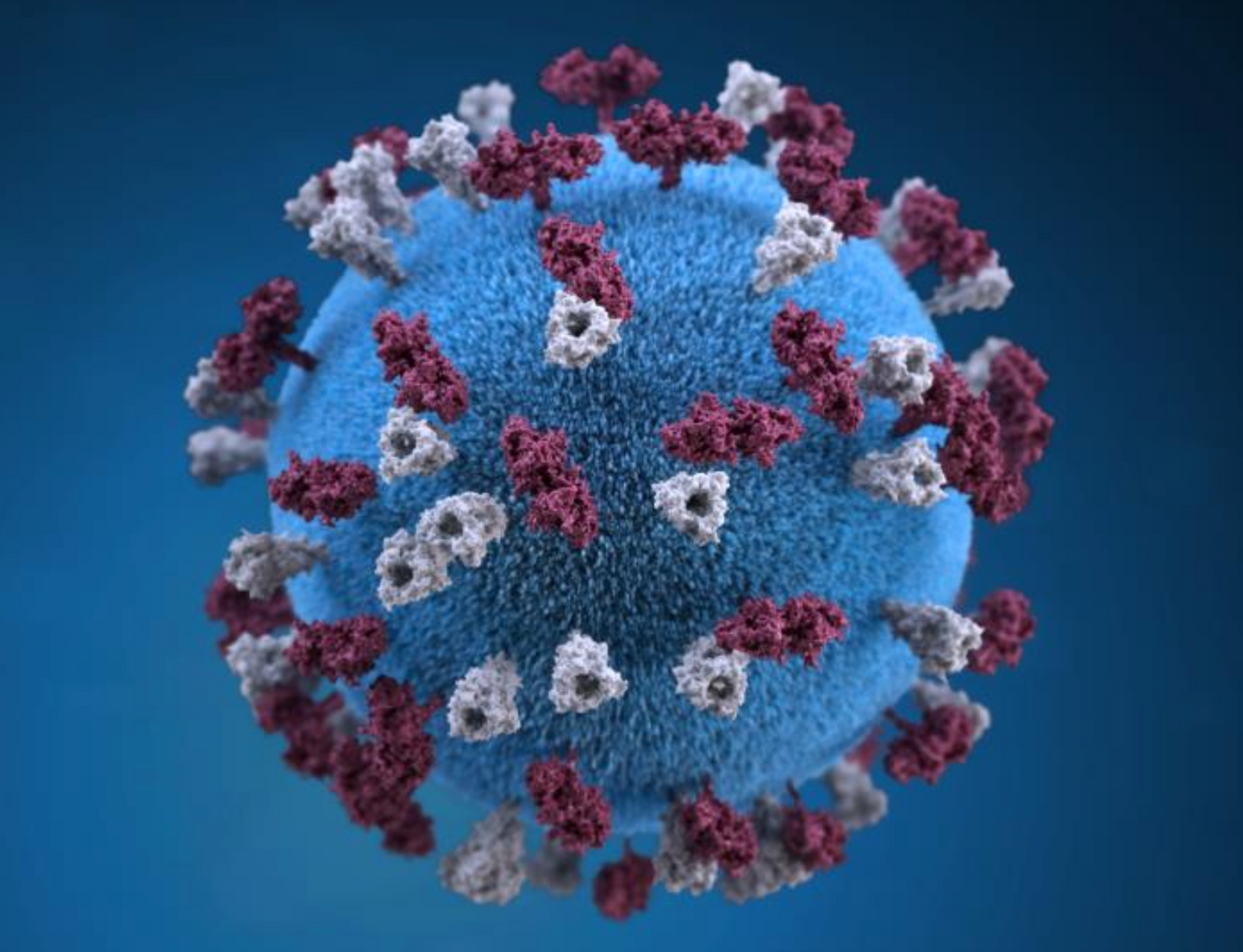 Infectious Disease Roundup: Rising US Measles, Syphilis; Lassa in Nigeria
