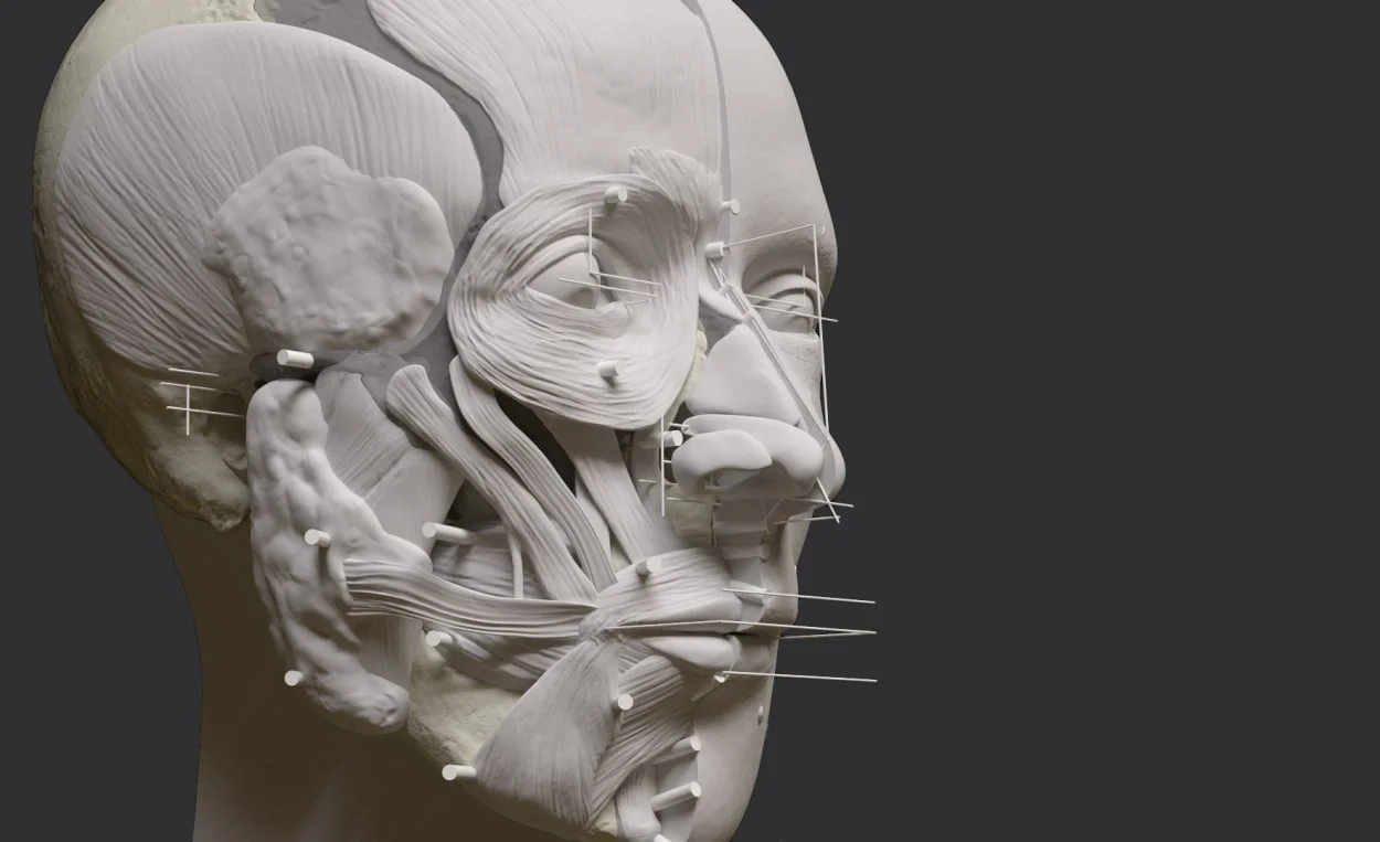 Face to face with the prehistoric inhabitants of El Argar