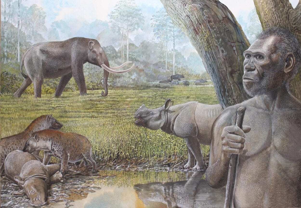 Past Tropical Forest Changes Drove Megafauna and Hominin Extinctions