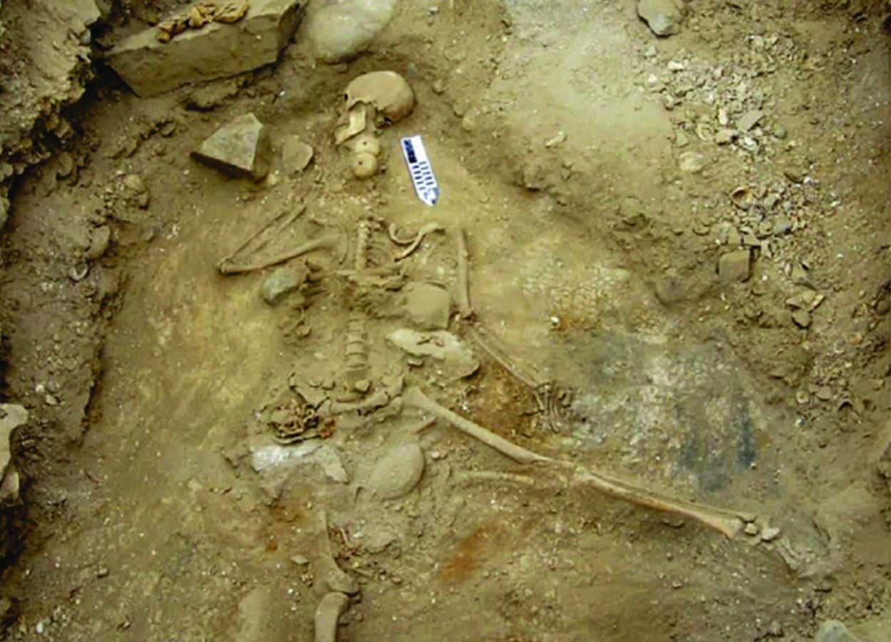 Forensic test confirms Neolithic fisherman died by drowning in the sea