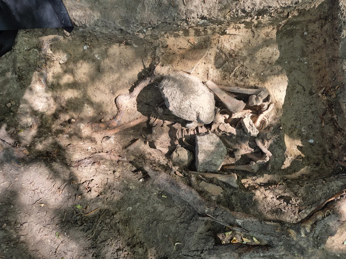 Ghastly finds at gallows execution site