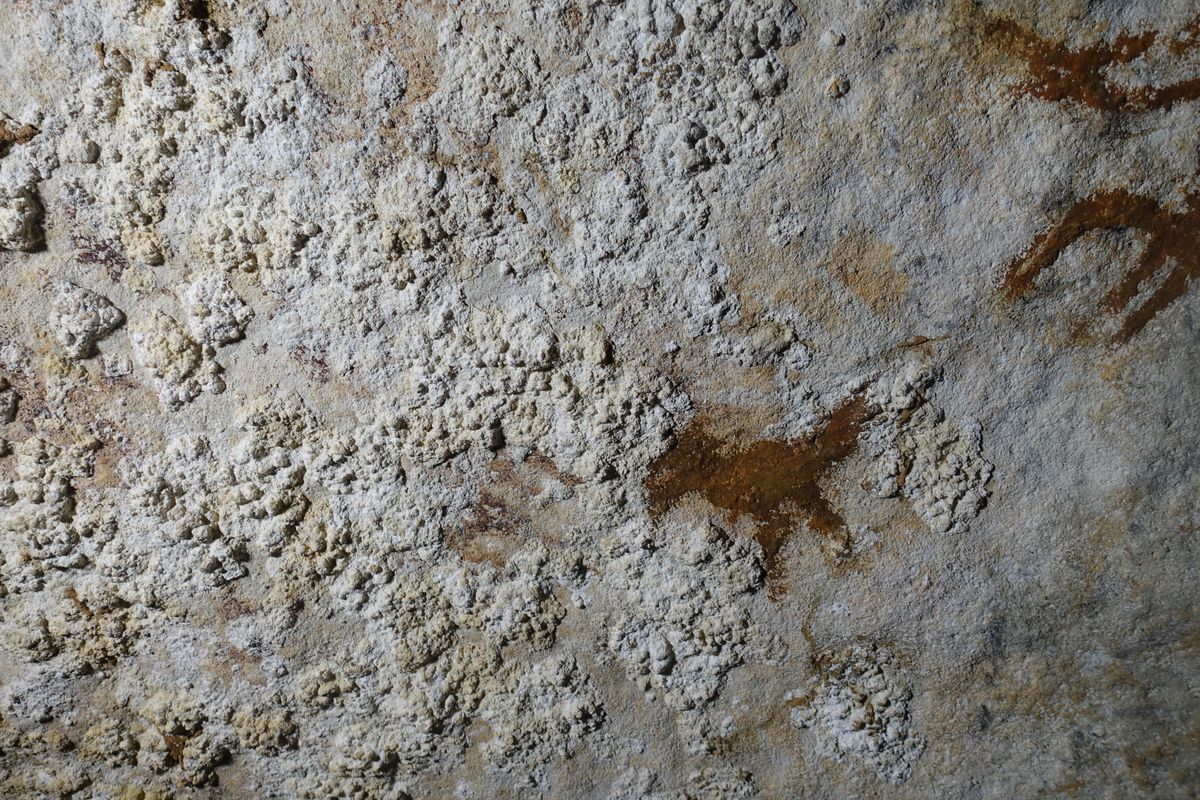 The Oldest Known Rock Art Is Over 67,000 Years Old, Offering Clues Into Our Ancient Ancestors’ Migrations