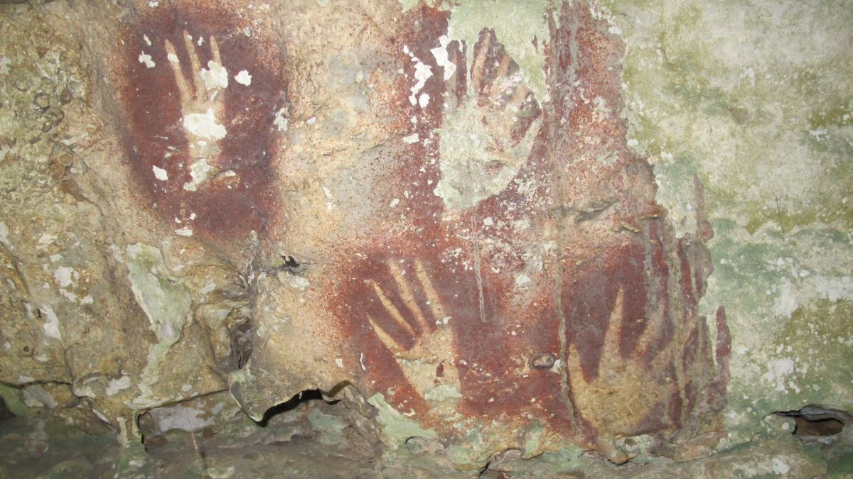 World’s Oldest Rock Art Discovered in Indonesian Cave : ScienceAlert