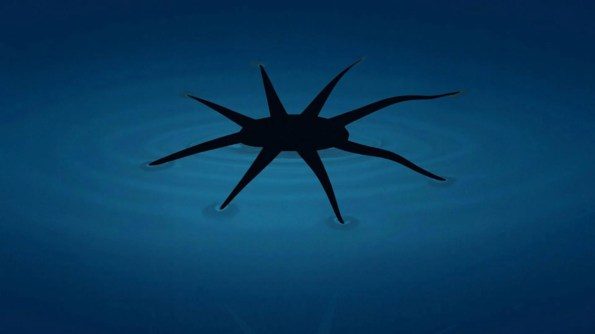 These little robots literally walk on water