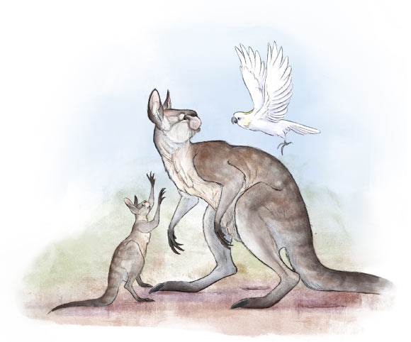 Pleistocene-Age Fossils Reveal Hopping Wasn’t Just for Small Kangaroos