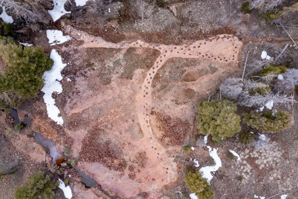 150-Million-Year-Old Footprints of Limping Sauropod Dinosaur Found in Colorado