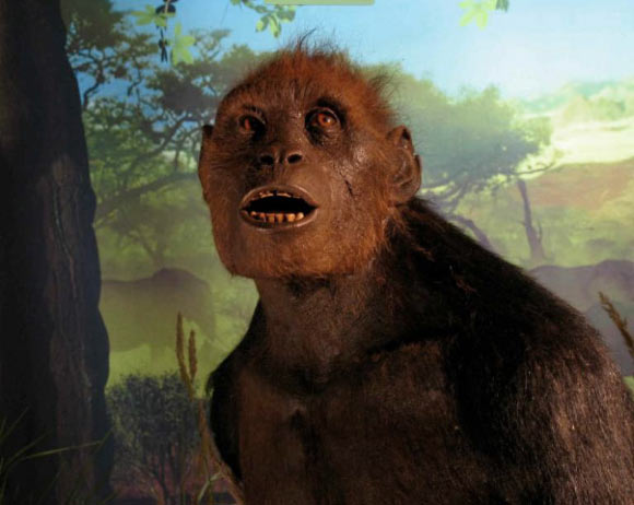 7-Million-Year-Old Sahelanthropus Fossils Bolster Case for Earliest Upright Walking