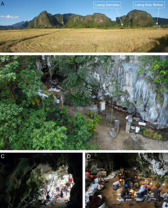Enigmatic Hominins May Have Overlapped with Homo sapiens on Sulawesi