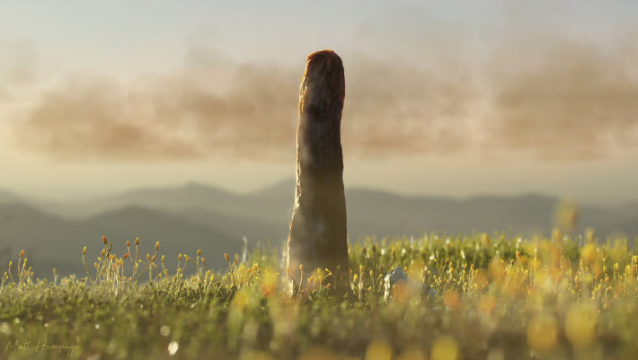 Prototaxites May Be Completely Unknown Branch of Complex Life