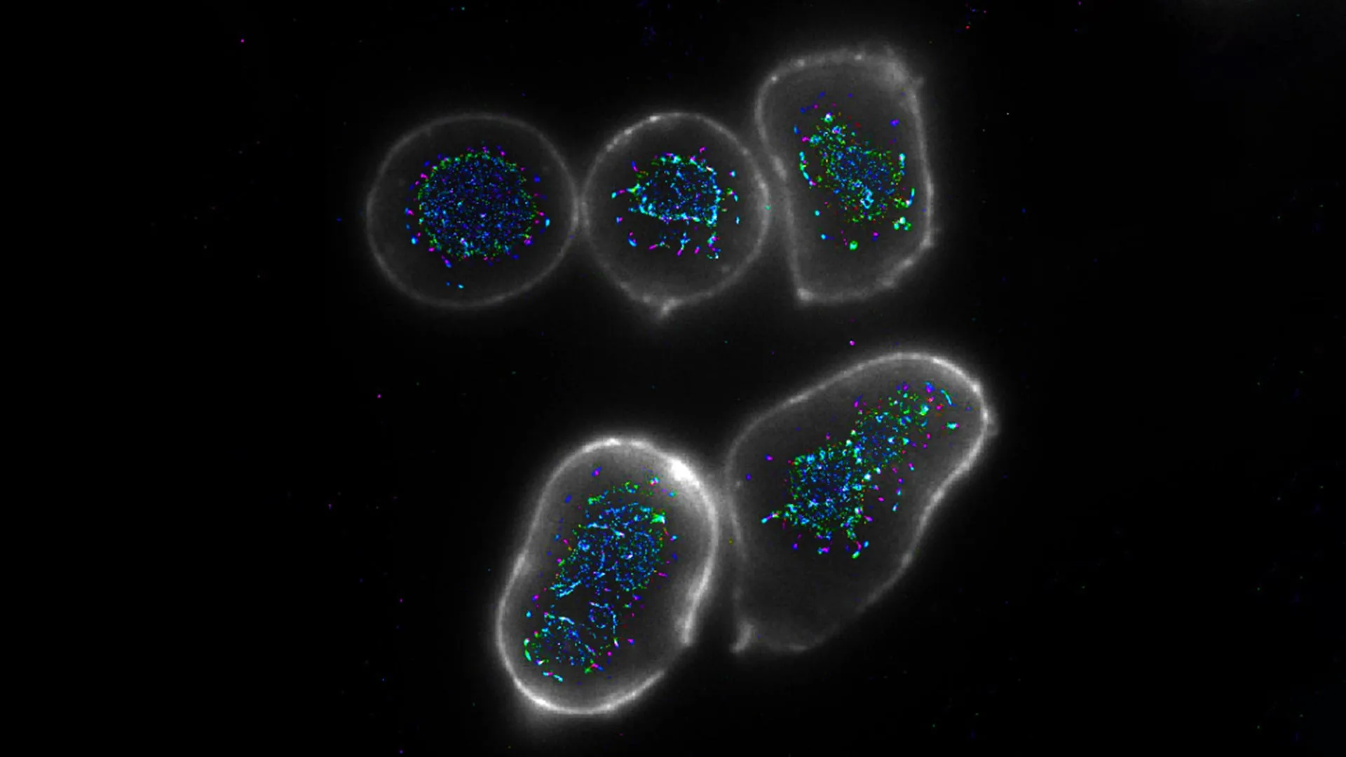 Scientists Found a Way to Supercharge the Immune System Against Cancer