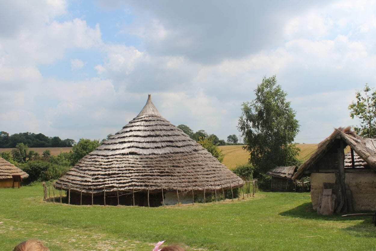 Researchers Unlock Secrets of the Past With New International Carbon Dating Standard